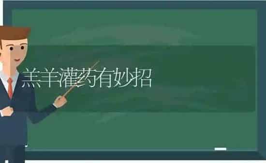 羔羊灌药有妙招 | 养殖病虫害防治