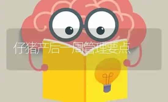 仔猪产后一周管理要点 | 家畜养殖