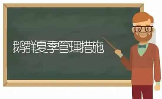 鹅群夏季管理措施 | 家禽养殖