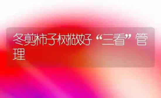 鱼池泼洒药物注意 | 养殖病虫害防治