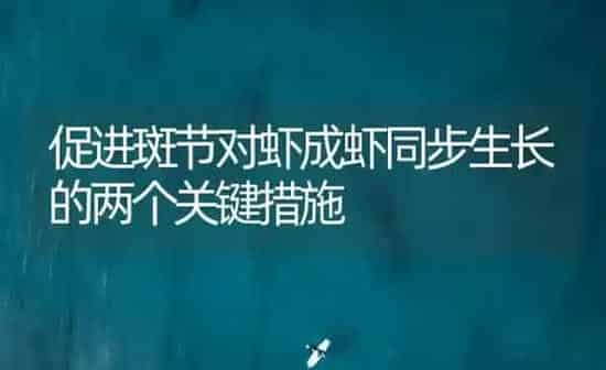 促进斑节对虾成虾同步生长的两个关键措施 | 海水养殖