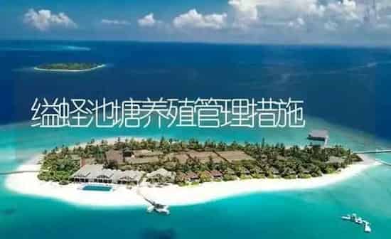 缢蛏池塘养殖管理措施 | 海水养殖