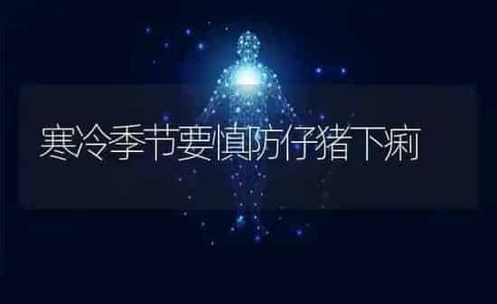 寒冷季节要慎防仔猪下痢 | 家畜养殖