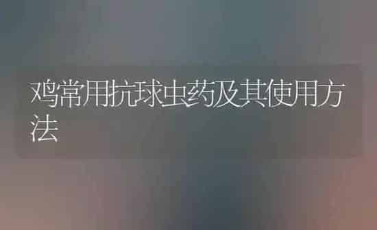 鸡常用抗球虫药及其使用方法 | 养殖病虫害防治