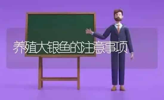 养殖大银鱼的注意事项 | 动物养殖百科