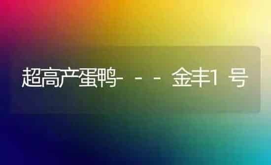 超高产蛋鸭---金丰1号 | 家禽养殖