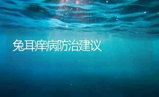 兔耳痒病防治建议 | 家畜养殖
