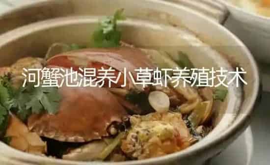 河蟹池混养小草虾养殖技术 | 淡水养殖