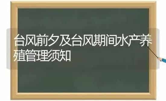 台风前夕及台风期间水产养殖管理须知 | 动物养殖百科