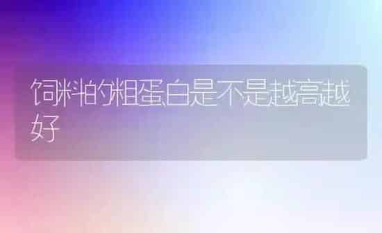 饲料的粗蛋白是不是越高越好 | 动物养殖饲料