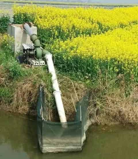 四月份野杂鱼繁殖旺季，河蟹塘打水需谨慎