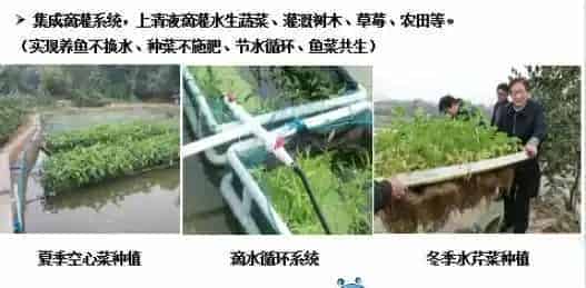 “渔光一体”告诉您，水产养殖智能环保有妙招！