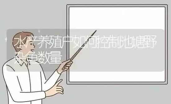 水产养殖户如何控制池塘野杂鱼数量 | 动物养殖百科
