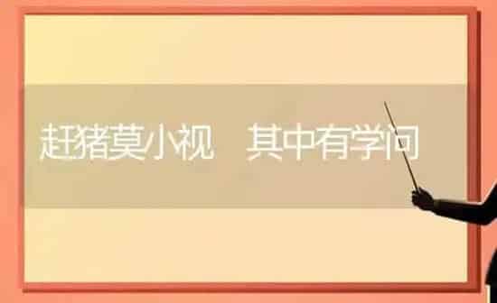 赶猪莫小视 其中有学问 | 家畜养殖