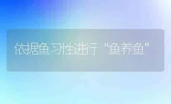依据鱼习性进行“鱼养鱼” | 淡水养殖