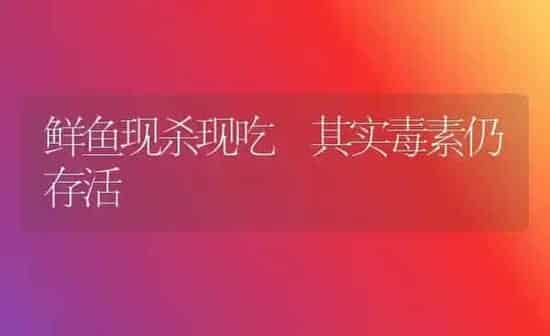 鲜鱼现杀现吃 其实毒素仍存活 | 动物养殖百科