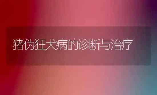 猪伪狂犬病的诊断与治疗 | 家畜养殖