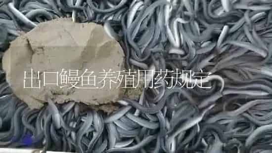 出口鳗鱼养殖用药规定 | 养殖病虫害防治