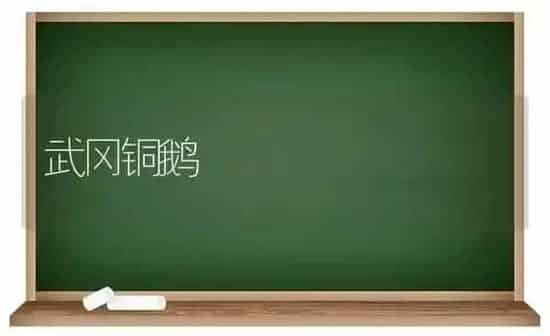 武冈铜鹅 | 家禽养殖