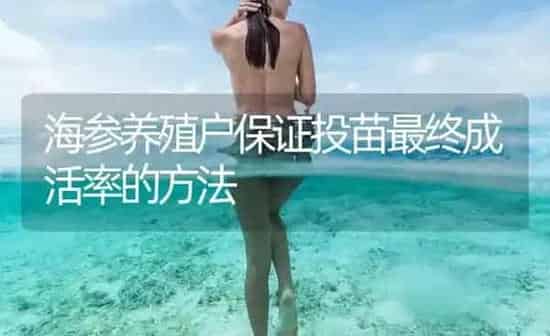 海参养殖户保证投苗最终成活率的方法 | 海水养殖