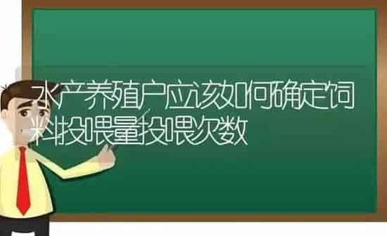 水产养殖户应该如何确定饲料投喂量投喂次数 | 动物养殖百科
