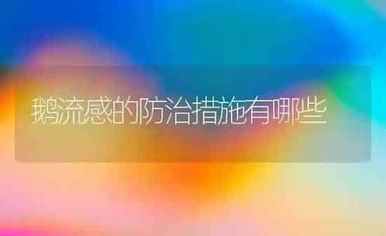 鹅流感的防治措施有哪些 | 家禽养殖