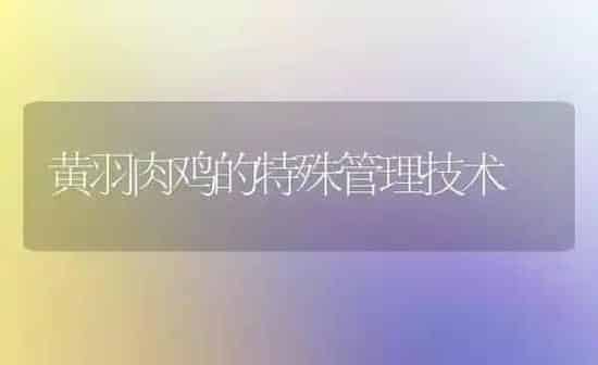 黄羽肉鸡的特殊管理技术 | 家禽养殖