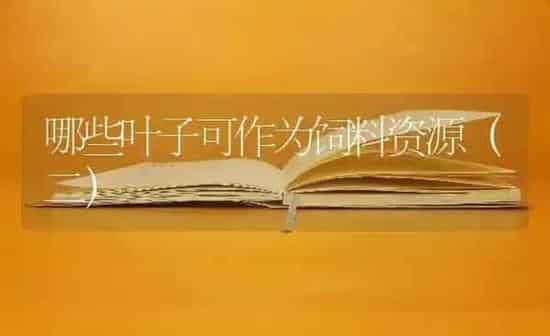 哪些叶子可作为饲料资源（二） | 动物养殖饲料