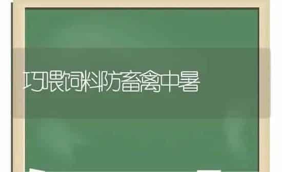 巧喂饲料防畜禽中暑 | 动物养殖饲料