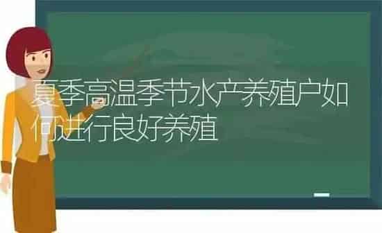 夏季高温季节水产养殖户如何进行良好养殖 | 动物养殖百科