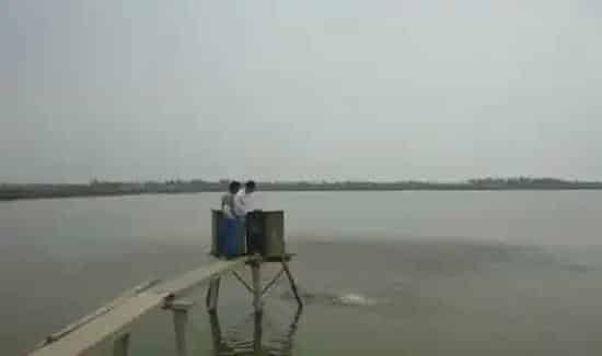 暴雨水灾过后水产养殖塘口修复几点措施
