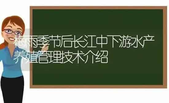 梅雨季节后长江中下游水产养殖管理技术介绍 | 动物养殖百科