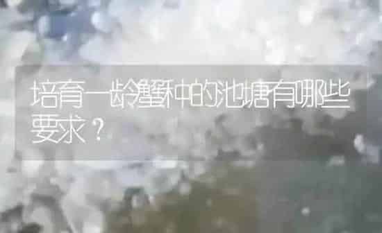 培育一龄蟹种的池塘有哪些要求？ | 淡水养殖