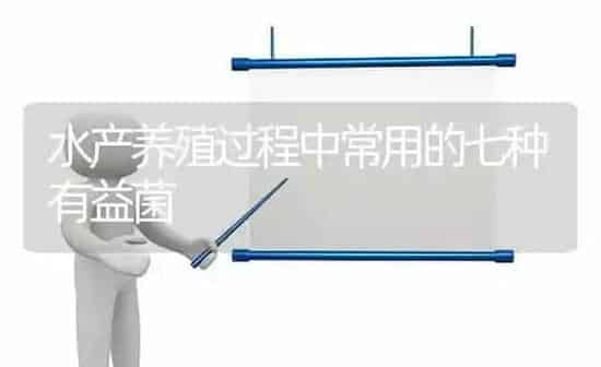 水产养殖过程中常用的七种有益菌 | 动物养殖百科