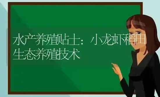 水产养殖贴士：小龙虾稻田生态养殖技术 | 动物养殖百科