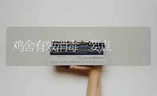 鸡舍有效消毒三要点 | 家禽养殖