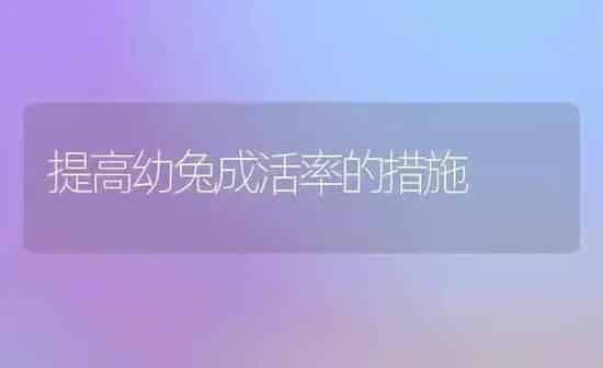 提高幼兔成活率的措施 | 家畜养殖