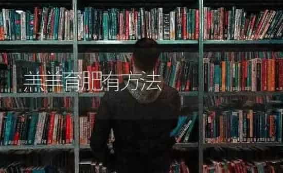 羔羊育肥有方法 | 家畜养殖