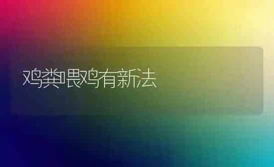 鸡粪喂鸡有新法 | 家禽养殖