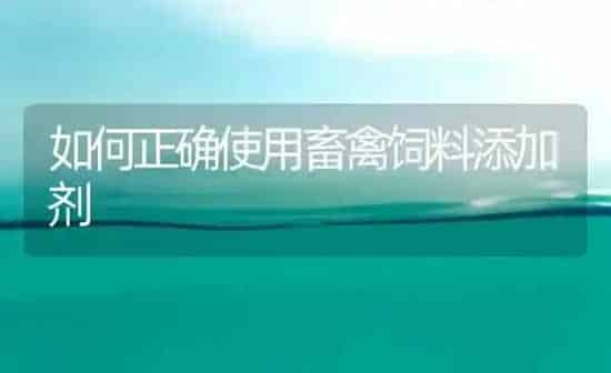 如何正确使用畜禽饲料添加剂 | 动物养殖饲料