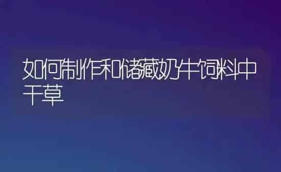 如何制作和储藏奶牛饲料中干草 | 动物养殖饲料