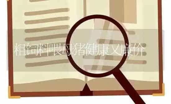 粗饲料喂母猪健康又廉价 | 家畜养殖