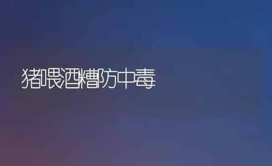 猪喂酒糟防中毒 | 家畜养殖