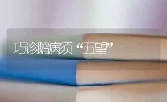 巧诊鹅病须“五望” | 家禽养殖