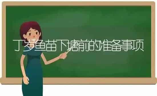 丁岁鱼苗下塘前的准备事项 | 动物养殖百科