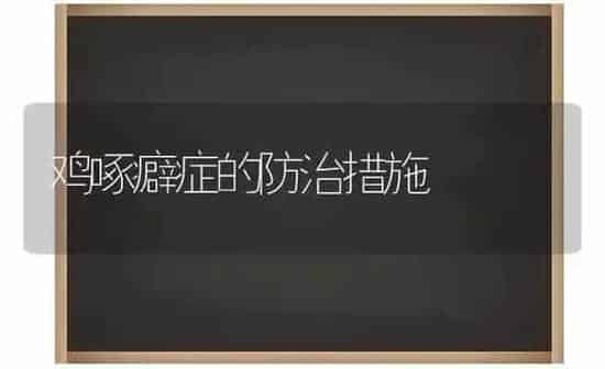 鸡啄癖症的防治措施 | 家禽养殖