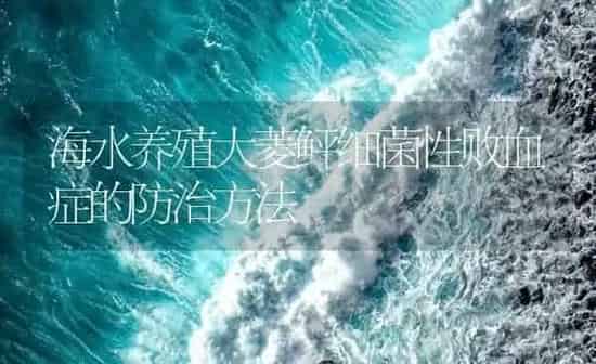 海水养殖大菱鲆细菌性败血症的防治方法 | 海水养殖