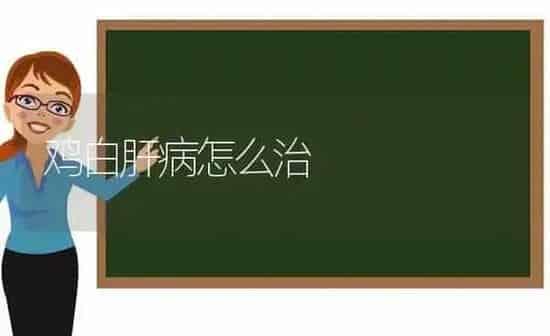 鸡白肝病怎么治 | 家禽养殖