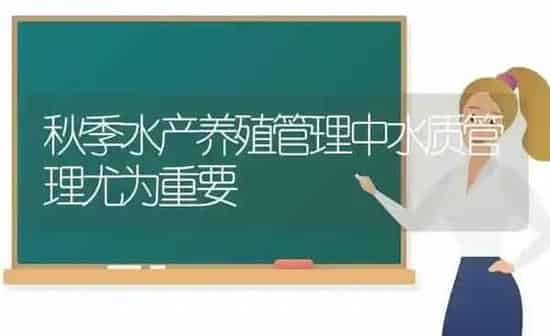 秋季水产养殖管理中水质管理尤为重要 | 动物养殖百科