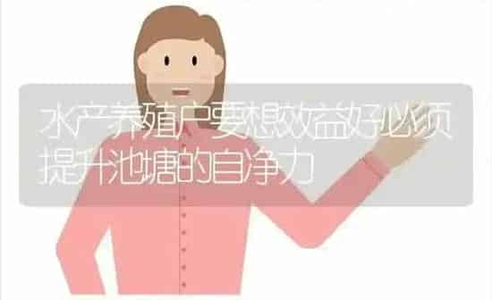 水产养殖户要想效益好必须提升池塘的自净力 | 动物养殖百科